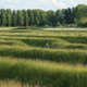 Illustration for article titled How This Simple Landscaping Project Quiets an Airport's Roar